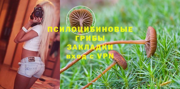 трава Алексин
