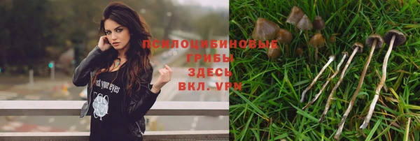 мяу мяу кристалл Арсеньев