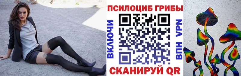 Купить закладки  Туапсе  Псилоцибиновые грибы GOLDEN TEACHER 